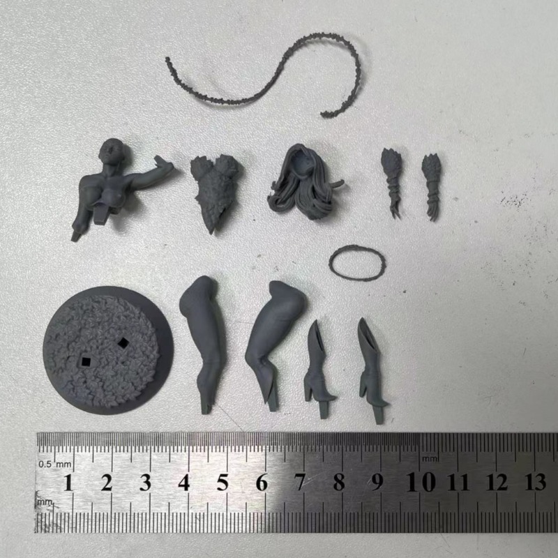 1/24 Scale Forest Queen Scienc - Science Hobby Kit review and price