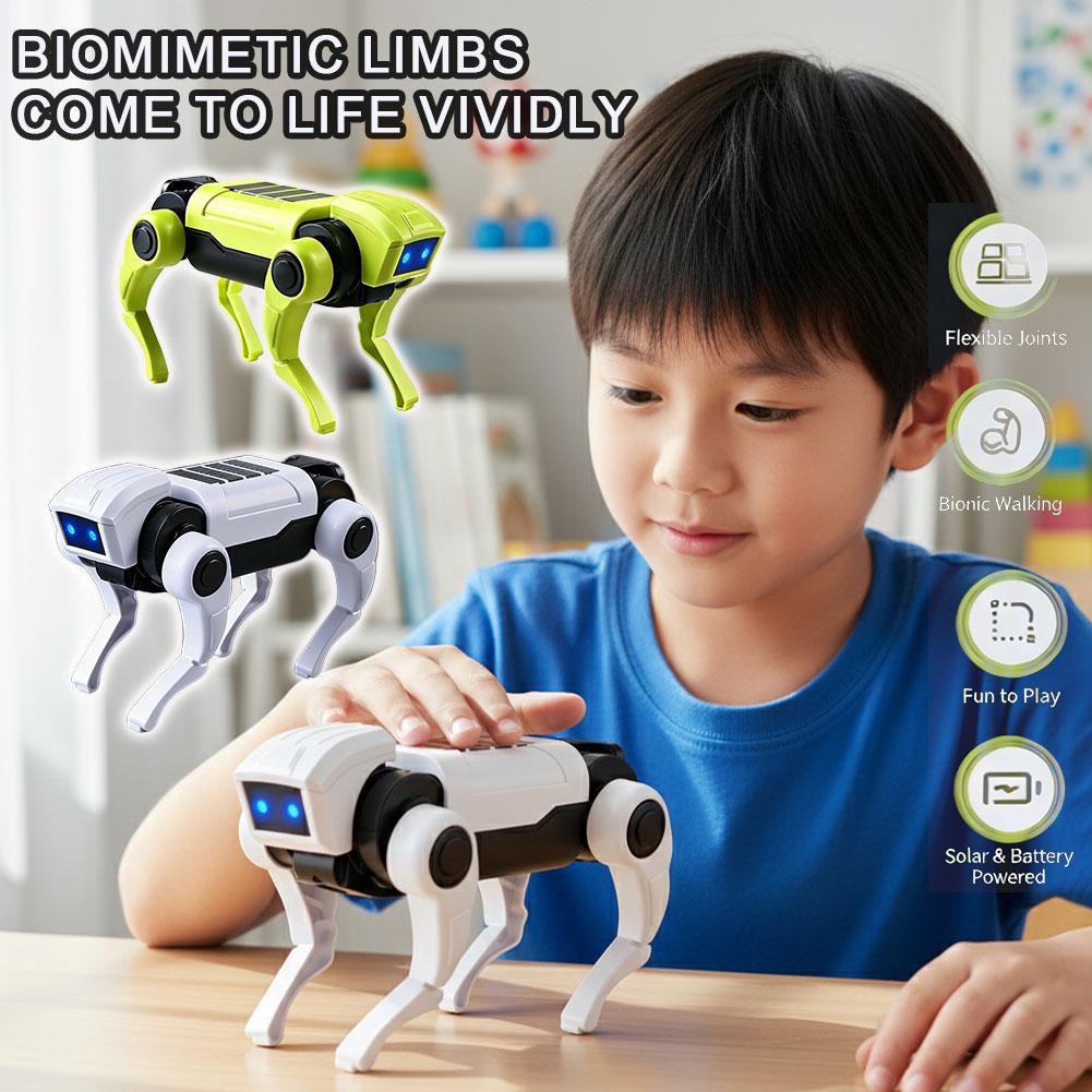 DIY Assembly RC Robot Dog Toy  - Science Toys Diy review and price