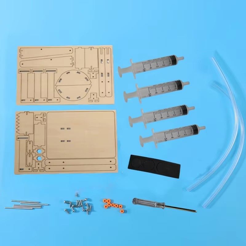 Fun STEM DIY Science Kit Woode - Science Hobby Kit review and price